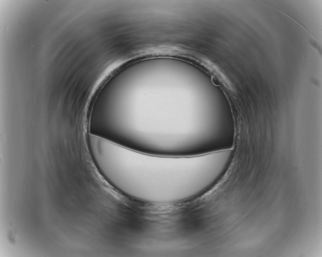 X0000091531232200708170943