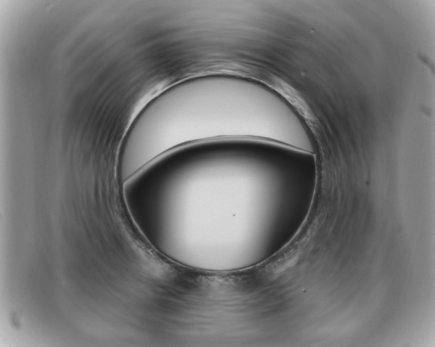 X0000091531234200708170943