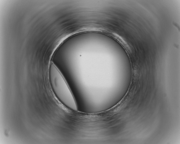 X0000091531236200708170943