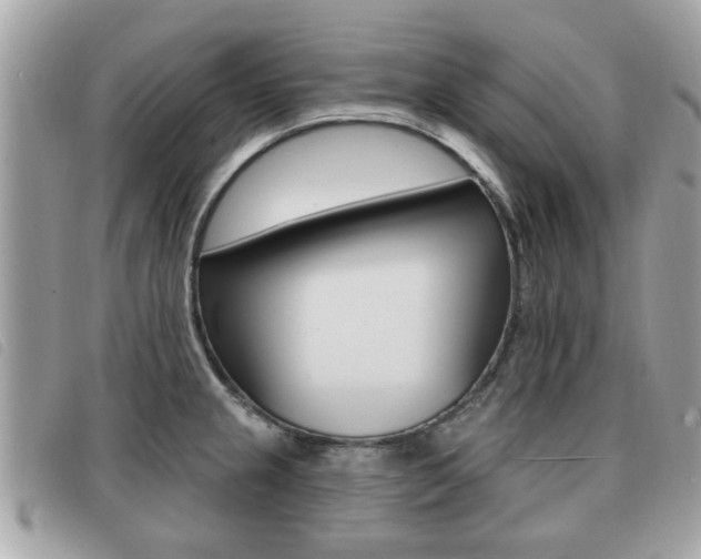 X0000091531237200708170943