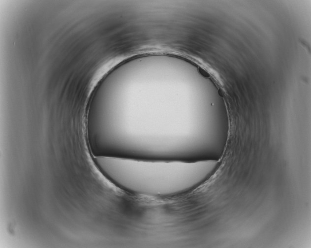 X0000091531239200708170943