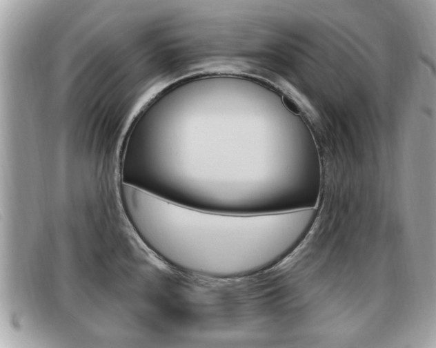X0000091531240200708170943