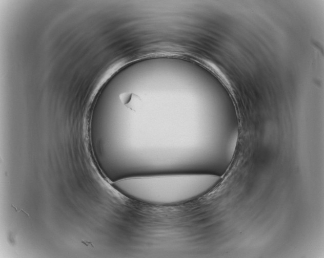 X0000091531243200708170943