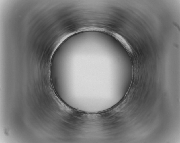 X0000091531244200708170943