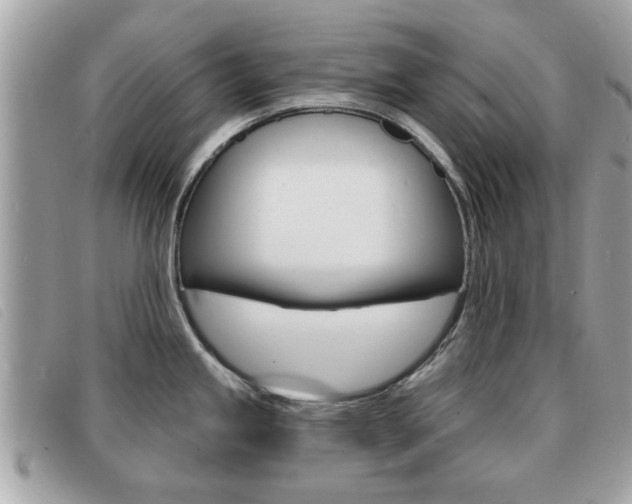 X0000091531245200708170943
