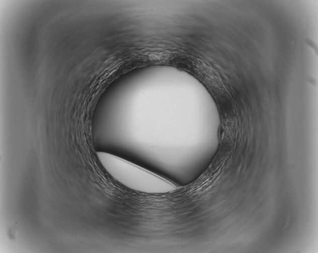 X0000091531249200708170943