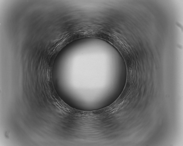 X0000091531250200708170942