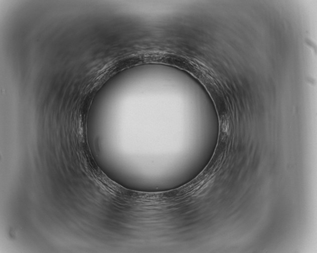 X0000091531252200708170942