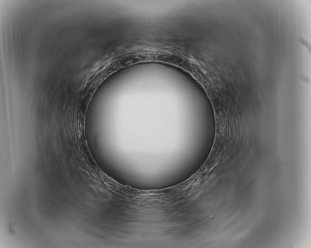 X0000091531253200708170942