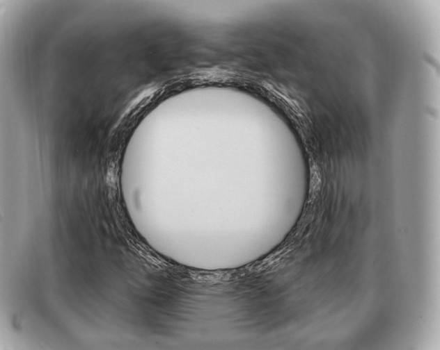 X0000091531254200708170942