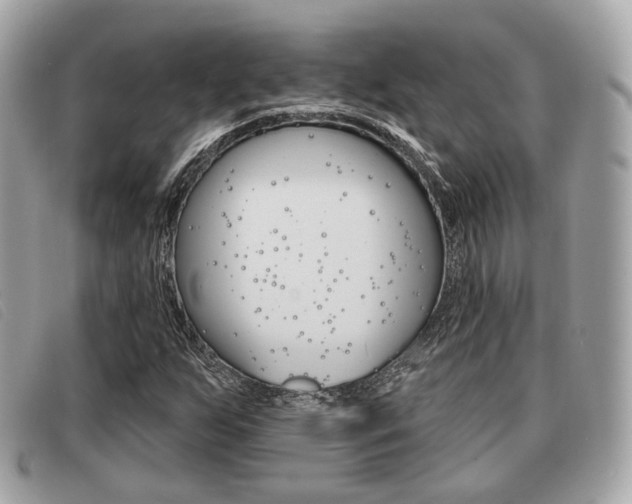 X0000091531255200708170942