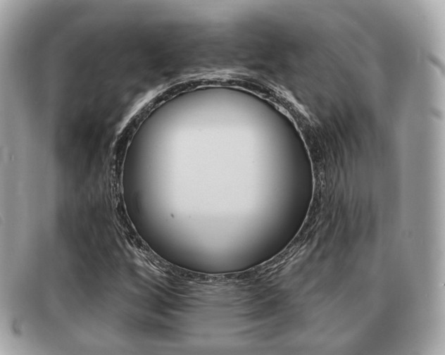 X0000091531256200708170942