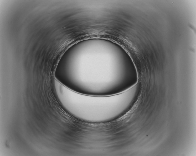 X0000091531257200708170942