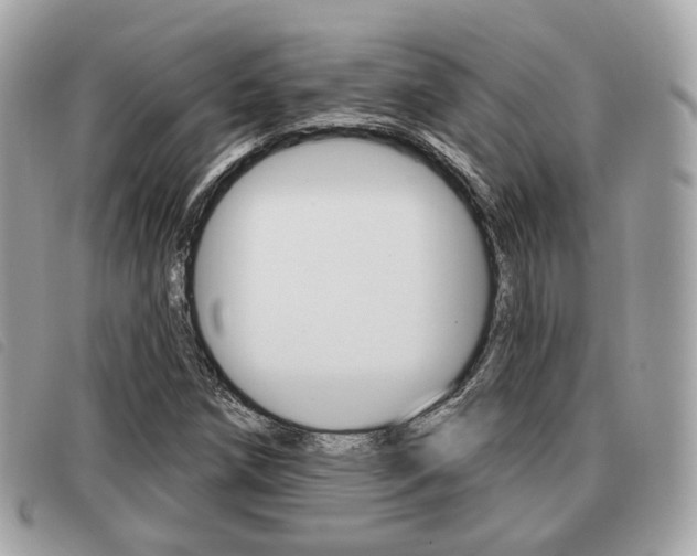 X0000091531258200708170942