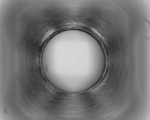 X0000091531259200708170942