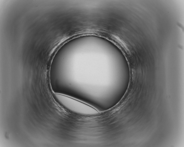 X0000091531260200708170942