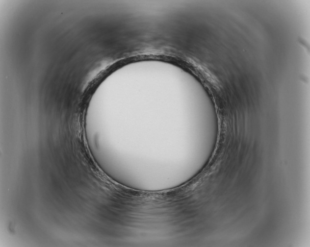 X0000091531262200708170942