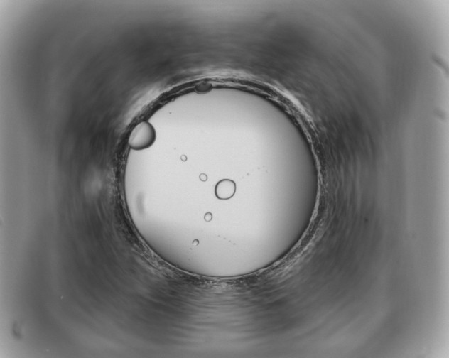 X0000091531263200708170942