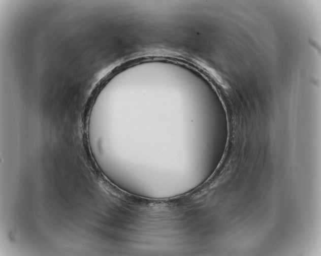 X0000091531264200708170942