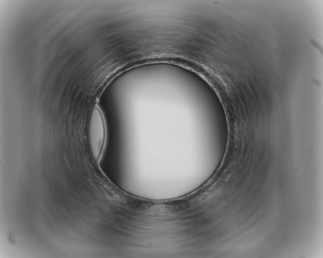 X0000091531265200708170942