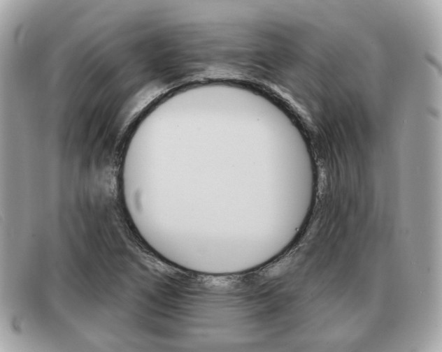 X0000091531266200708170942