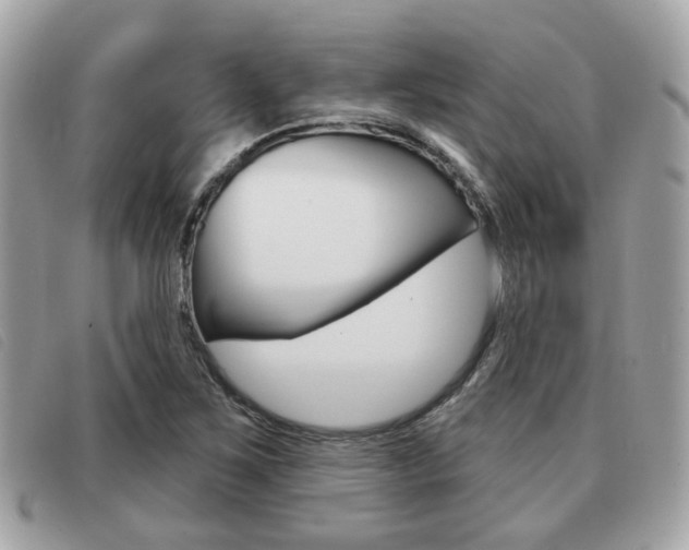 X0000091531267200708170942
