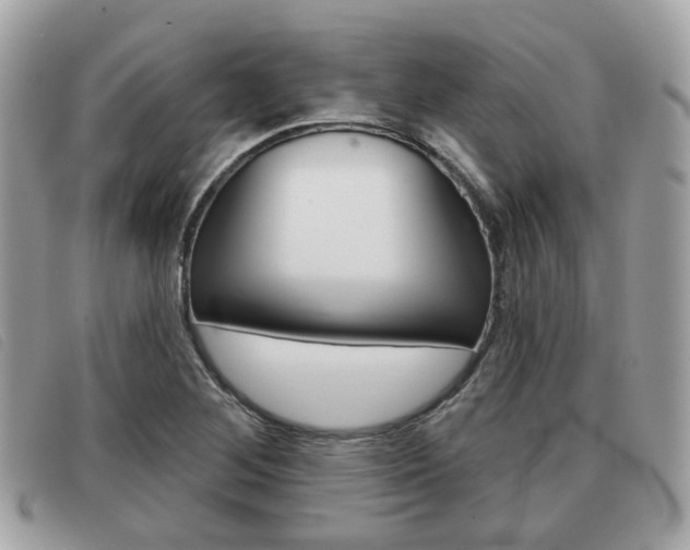 X0000091531268200708170942