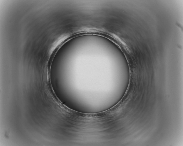 X0000091531269200708170942