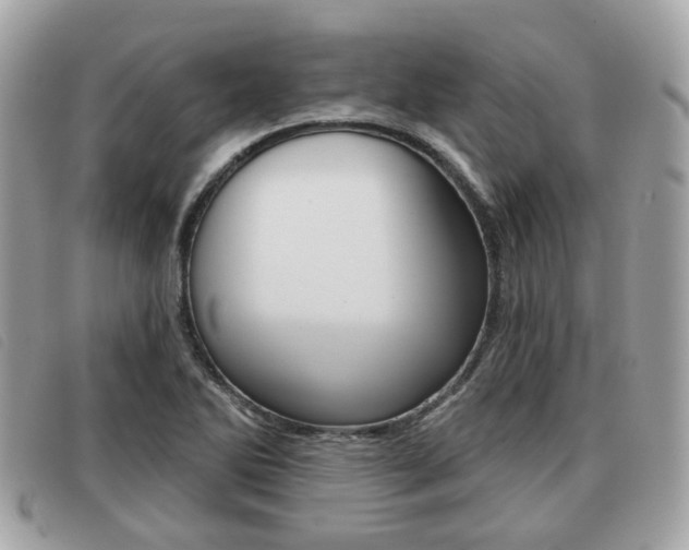X0000091531270200708170942