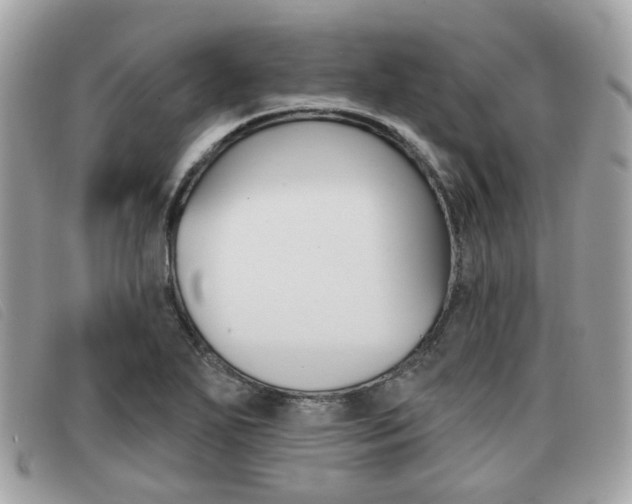 X0000091531271200708170942