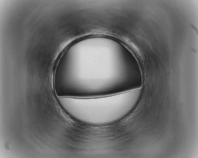 X0000091531272200708170942
