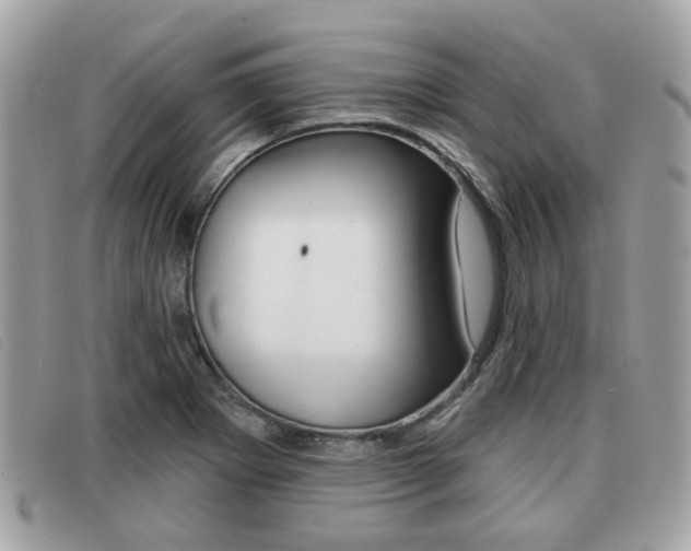 X0000091531273200708170942