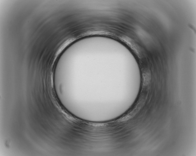 X0000091531274200708170942