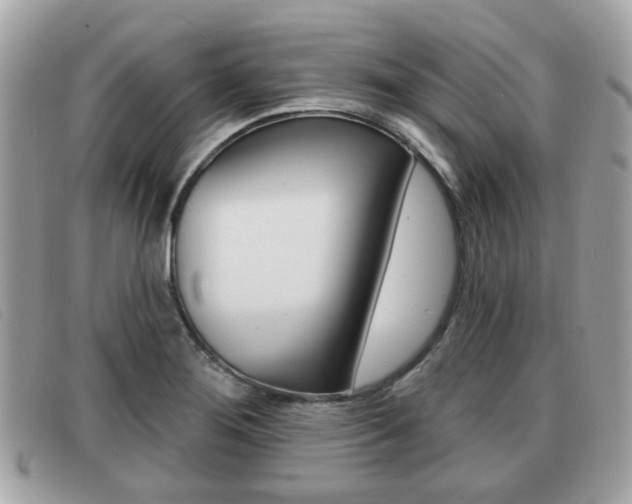 X0000091531276200708170942