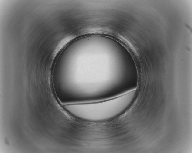 X0000091531277200708170942