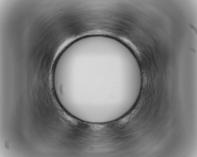 X0000091531278200708170942