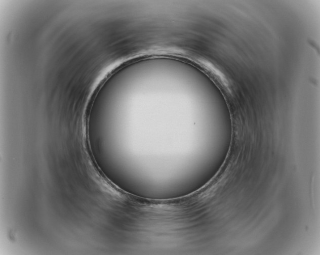X0000091531280200708170942