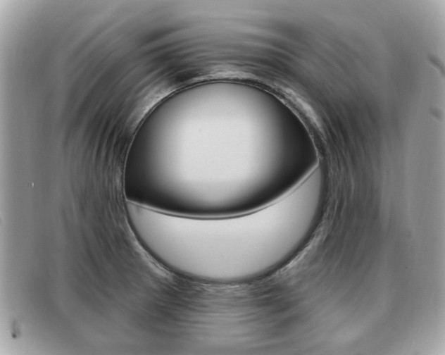X0000091531281200708170942