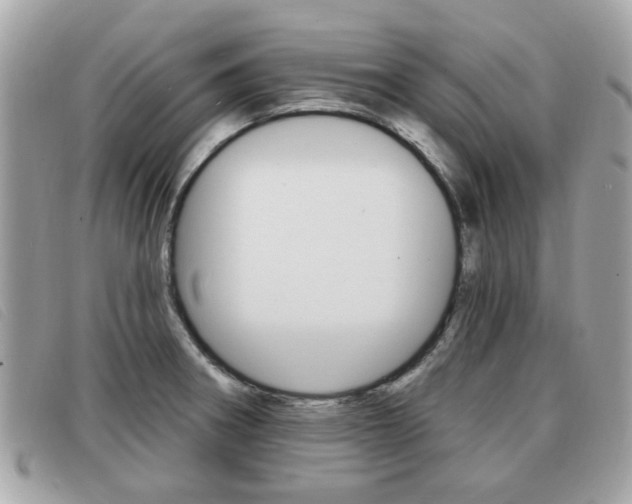 X0000091531282200708170942