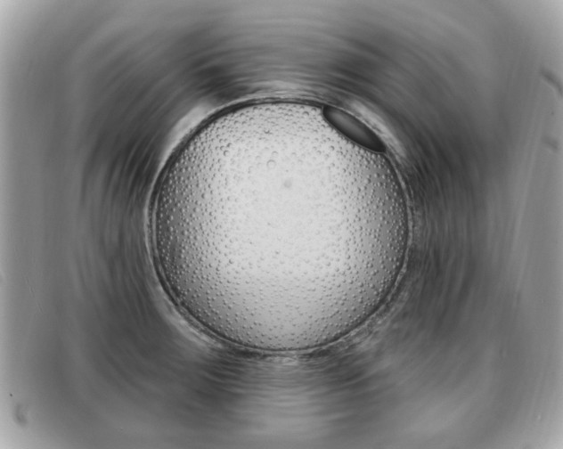 X0000091531283200708170942