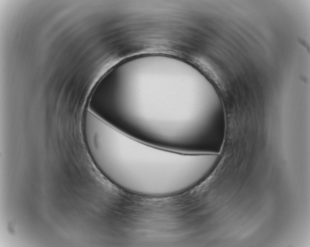 X0000091531284200708170942