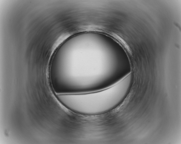 X0000091531285200708170942