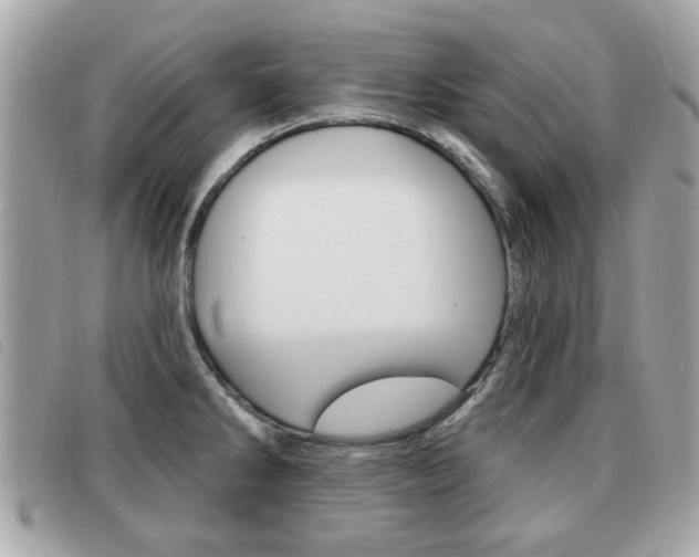 X0000091531286200708170942