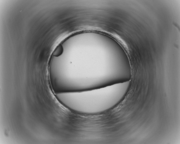 X0000091531287200708170942