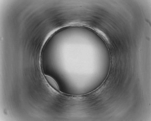 X0000091531288200708170942