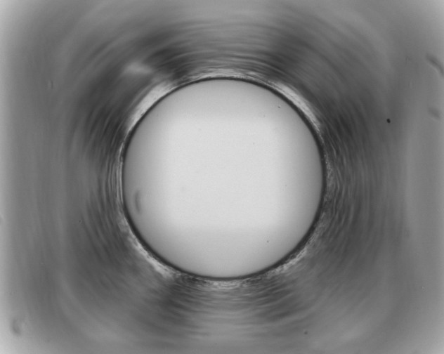 X0000091531290200708170942