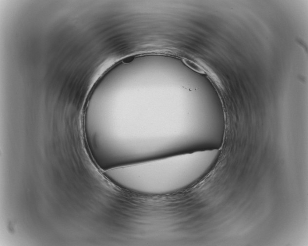 X0000091531291200708170942