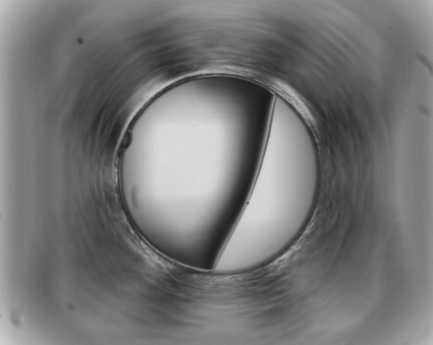 X0000091531292200708170942