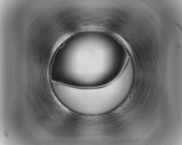 X0000091531293200708170942