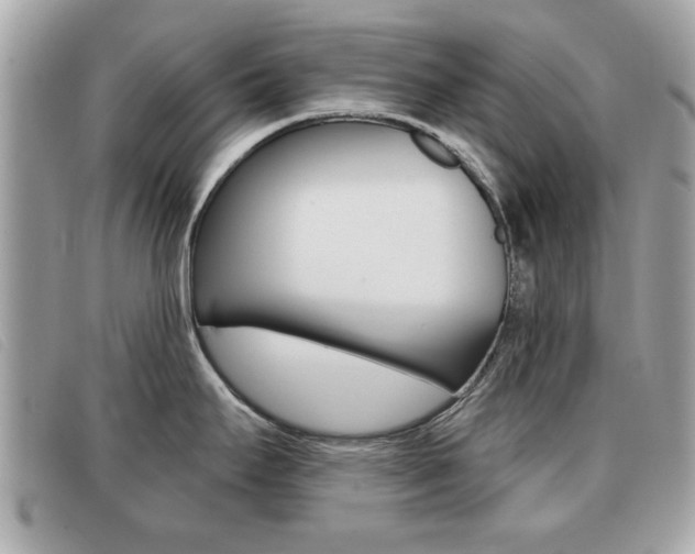 X0000091531295200708170942